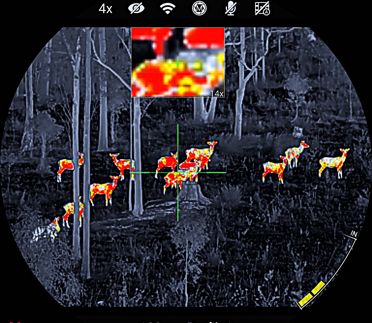 A mob of deer is highlighted in Thermal